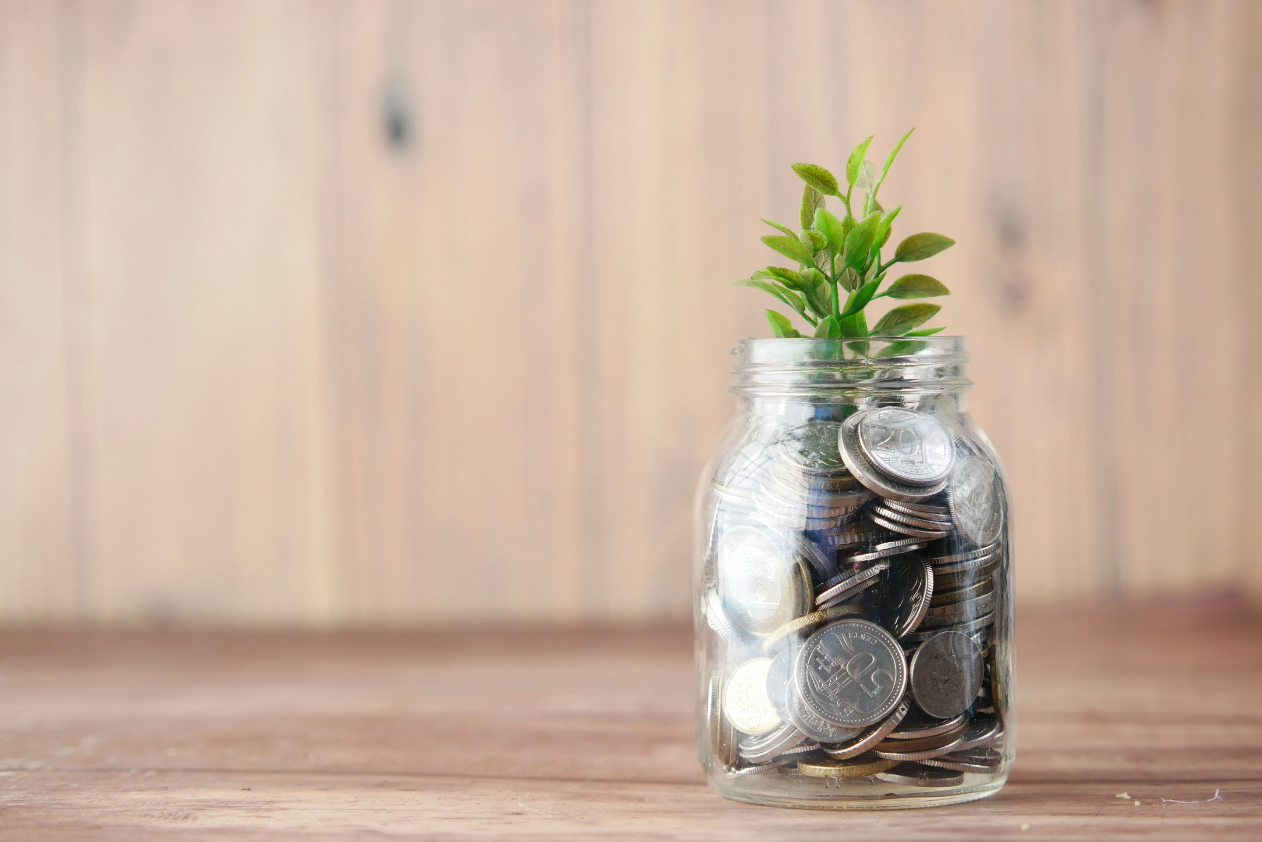 Las mejores inversiones para principiantes este año